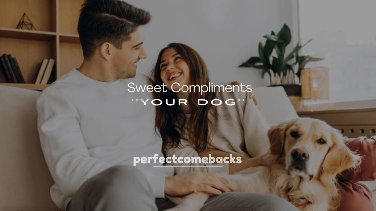 250+ Sweet Compliments for Your Dog