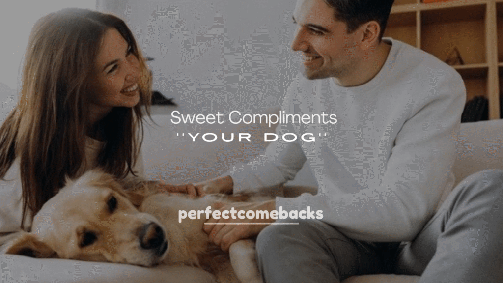 Sweet Compliments for Your Dog